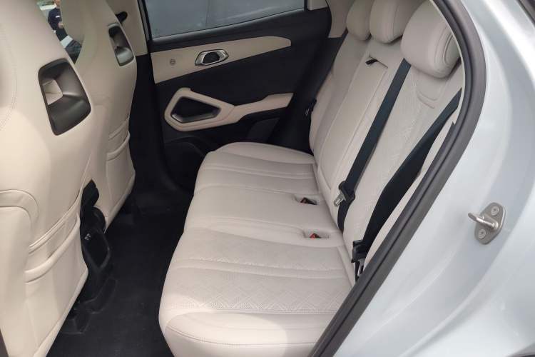Used BYD Yuan UP 2024 401KM Beyond Edition Left Rear Seat
