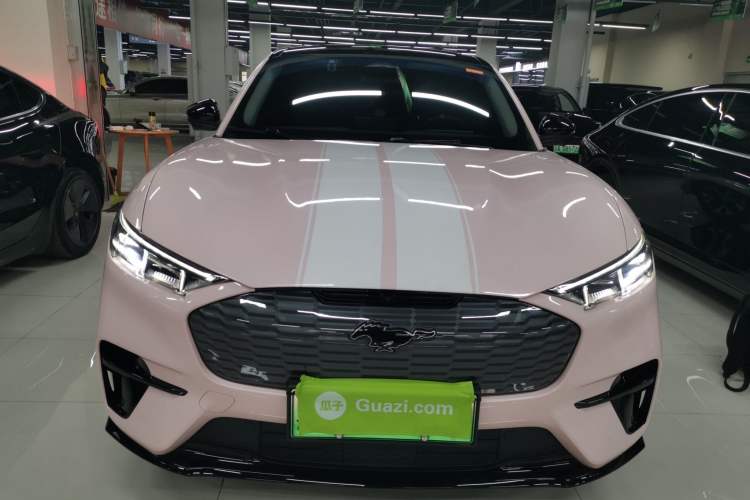 Used Ford Mustang Mach-E 2021 AION Y Plus Rear-Drive Luxury Edition (Long Range)