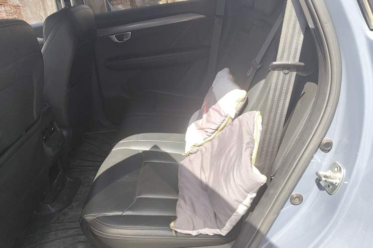 Used Wuling Asta 2021 1.5T Manual Starlight Edition Left Rear Seat