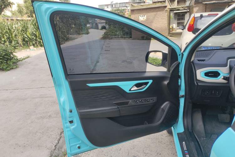 Used SOL E10X 2022 Flower Fairy Design Four-Leaf Clover