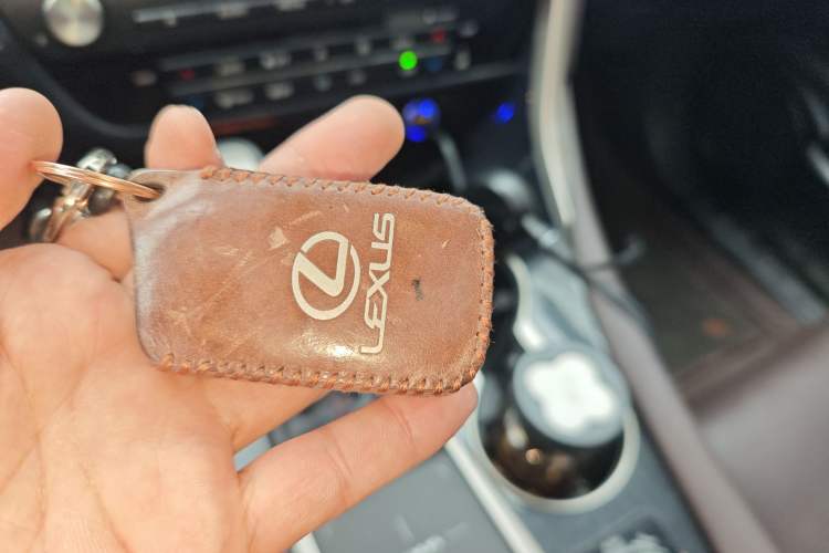 Used Lexus RX 2020 300 4x4 Elegant Edition China VI
