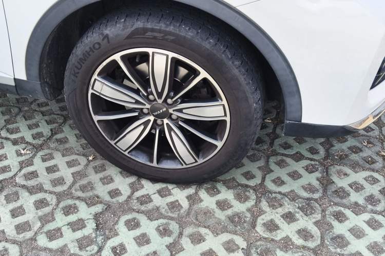 Used Haval H6 2021 1.5T Automatic Champion Edition
