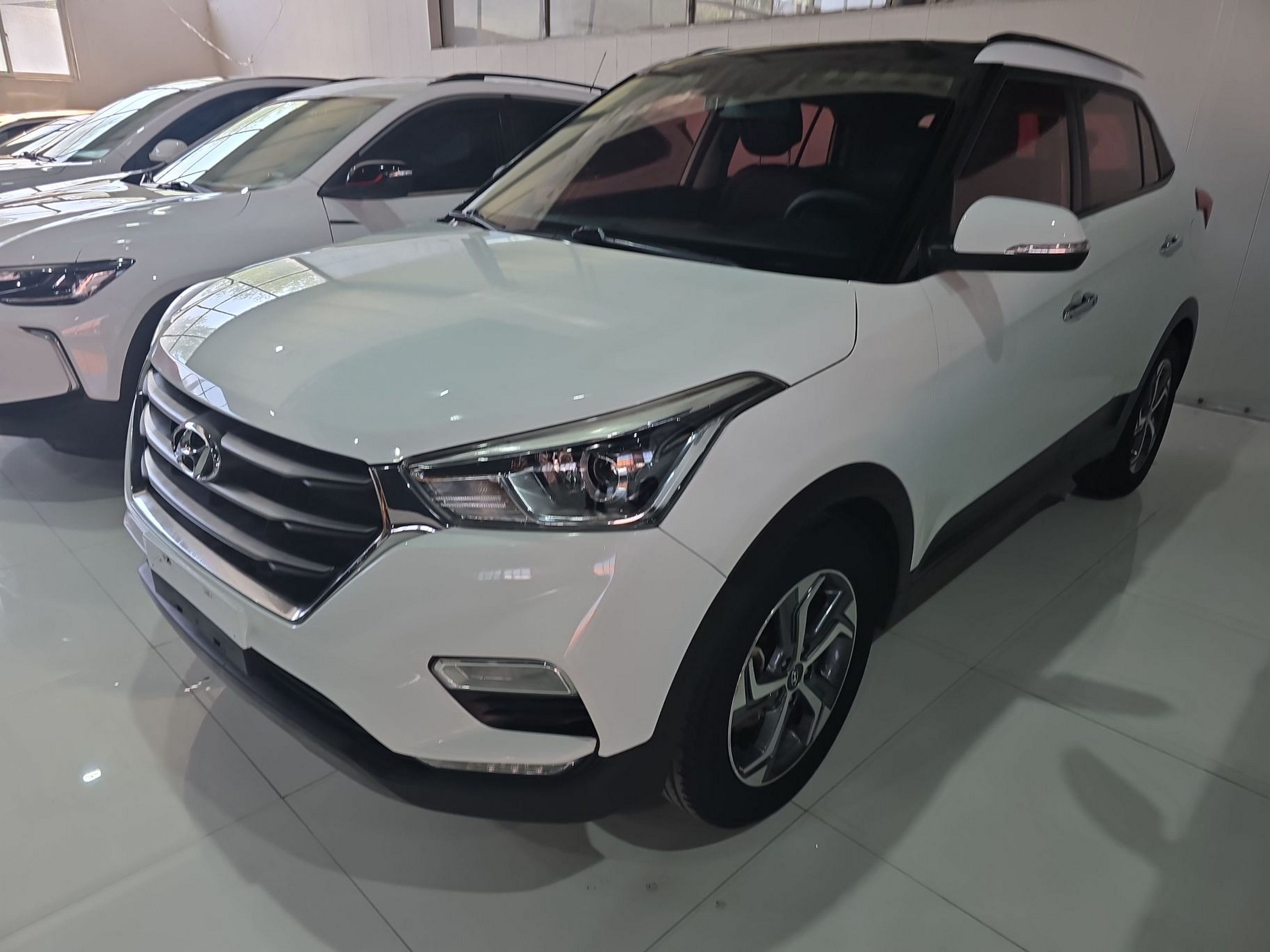 Parte inferior delantera