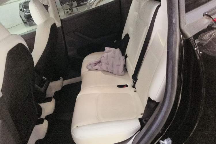 Used Tesla Model Y 2022 Rear-Wheel-Drive Version