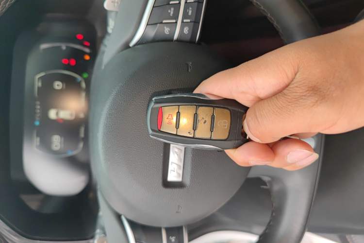 Used Haval F7x 2021 1.5T Two-Wheel Drive Smart & Trendy Edition Vehicle Key