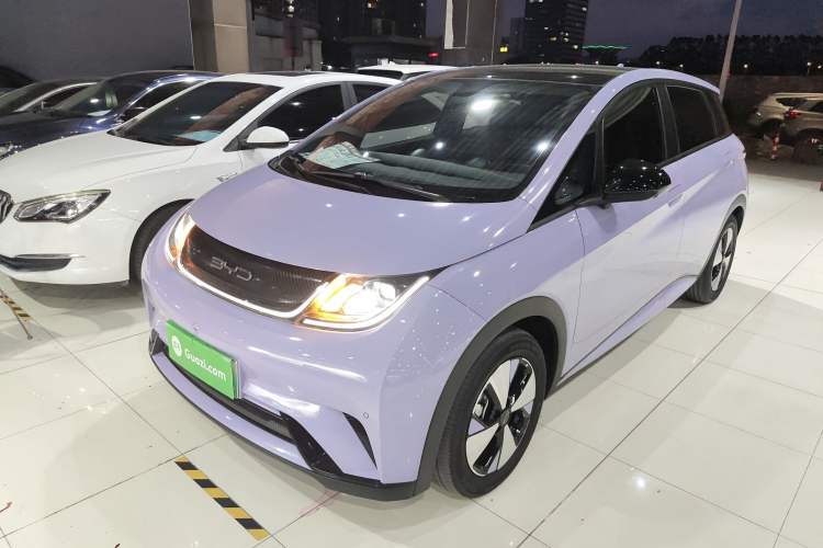 Used BYD Dolphin 2023 420 km Free Version