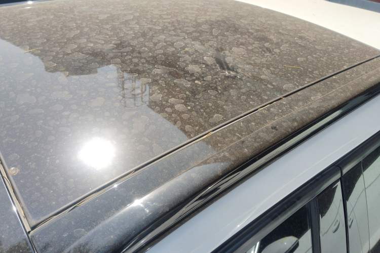 Used Peugeot 2008 2022 230THP THE ONE Roof