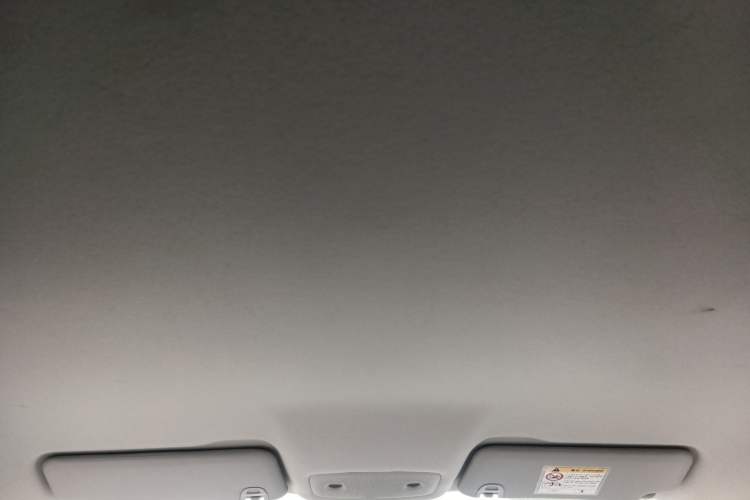 Used Leapmotor T03 2024 310 Comfort Edition Headliner