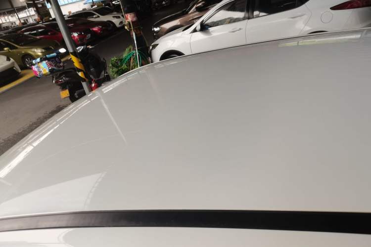 Used Dayun Yuehu 2021 32.85 kWh Two-Wheel-Drive Sprite Version
