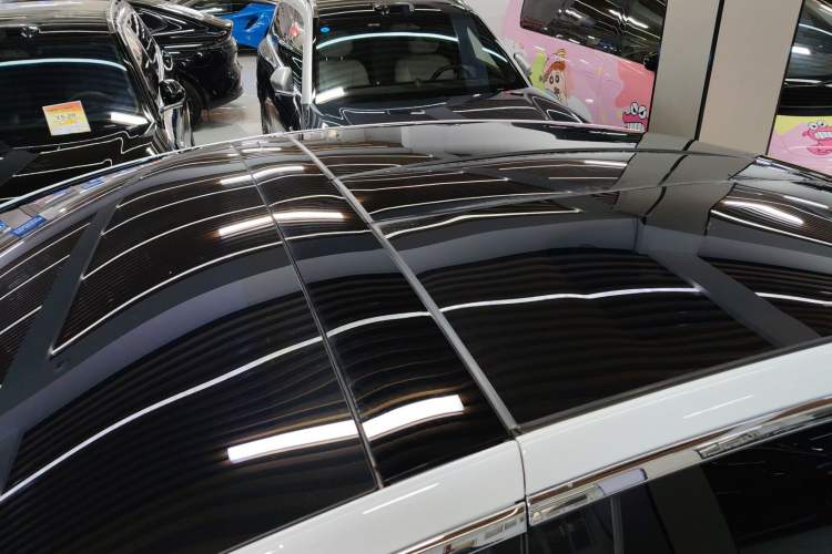 Used Tesla Model X 2020 Performance High-Performance Edition Roof