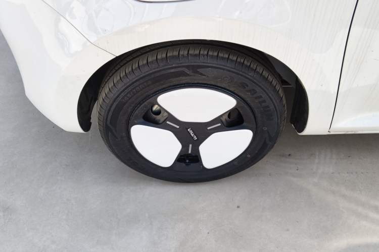 Used Qiyuan Lumin 2025 205 km Xiangqin Version
