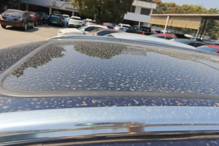 Used BYD Tang New Energy 2019 EV600D Four-Wheel Drive Smart Connectivity Leading Model