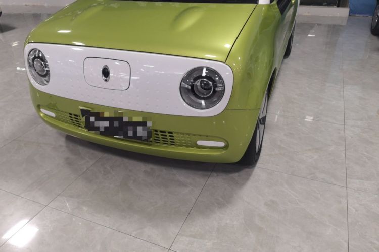 Used ORA Black Cat 2021 301 km Basic Version
