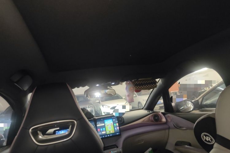 Used BYD Dolphin 2021 401km Knight Edition Headliner