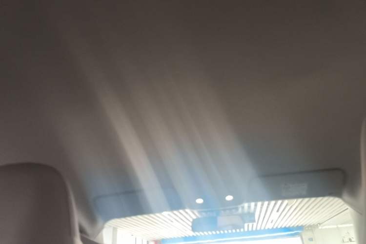 Used Leapmotor T03 2024 310 Comfort Edition Headliner