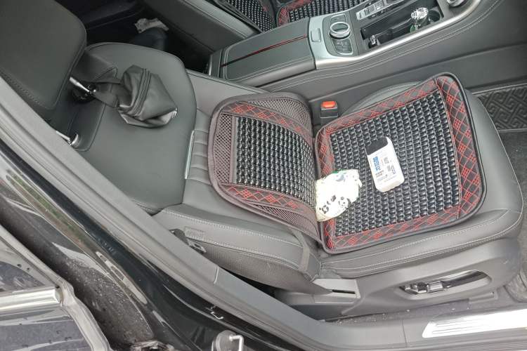 Used Hongqi H9 2022 2.0T Smart Connect Flagship Edition Right Front Seat