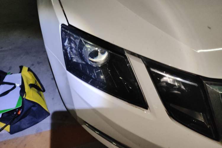 Used Skoda Octavia 2018 1.6L Automatic Luxury Edition
