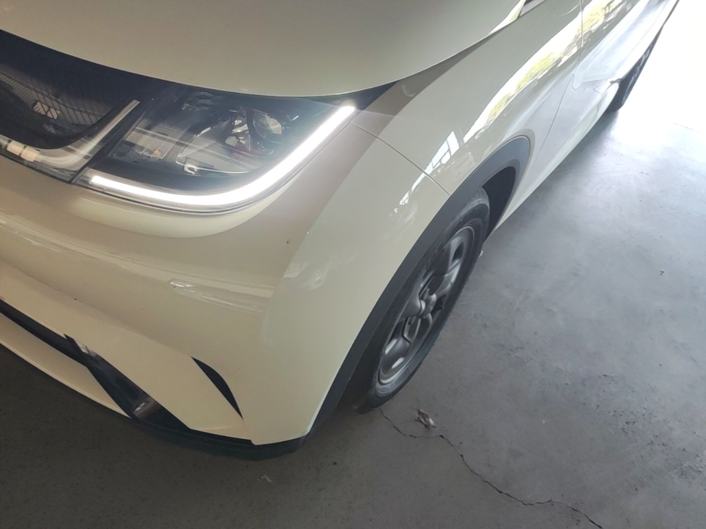 BYD Dolphin 2024 Honor Edition 302km Dynamic Version — снимка 8
