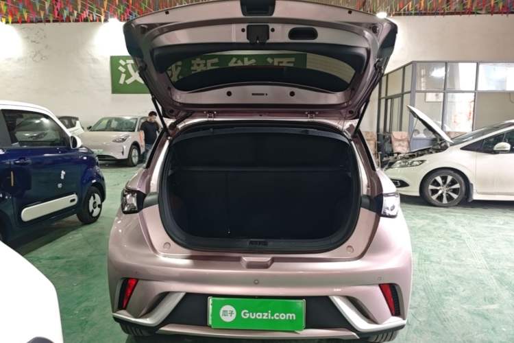 Used BYD Dolphin 2021 405 km Fashion Edition

