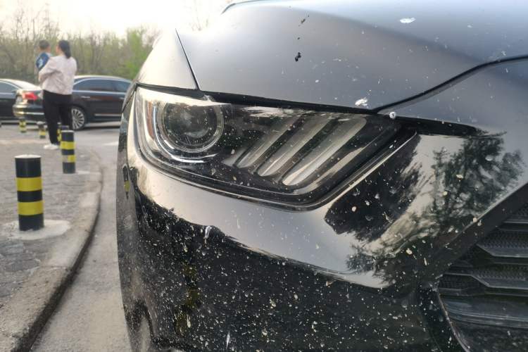 Used Ford Mustang 2017 2.3T Performance Edition
