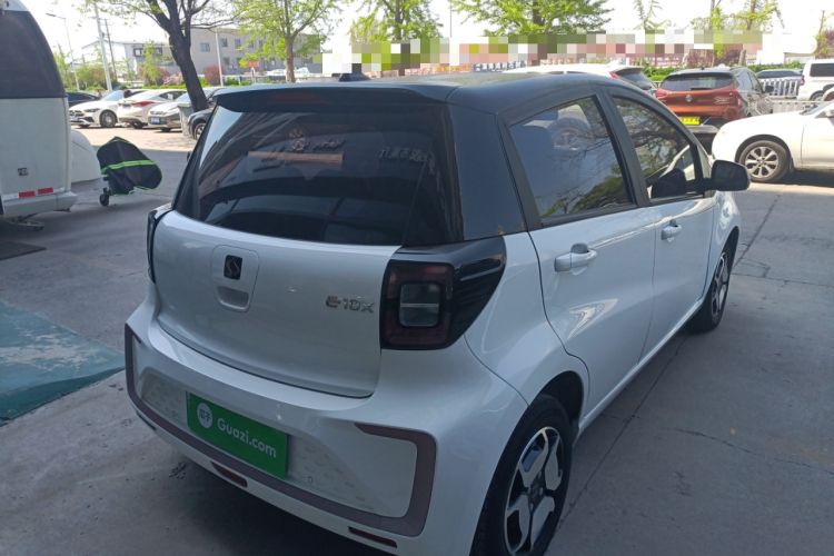 Used SOL E10X 2022 Flower Fairy Style Baby's Breath
