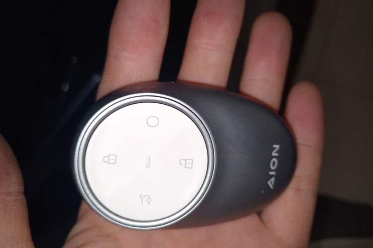 Used AION V 2024 Aion Tyrannosaurus 650 LiDAR Edition
