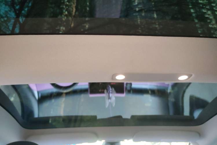 Used Tesla Model 3 2022 Rear-Wheel-Drive Version Headliner