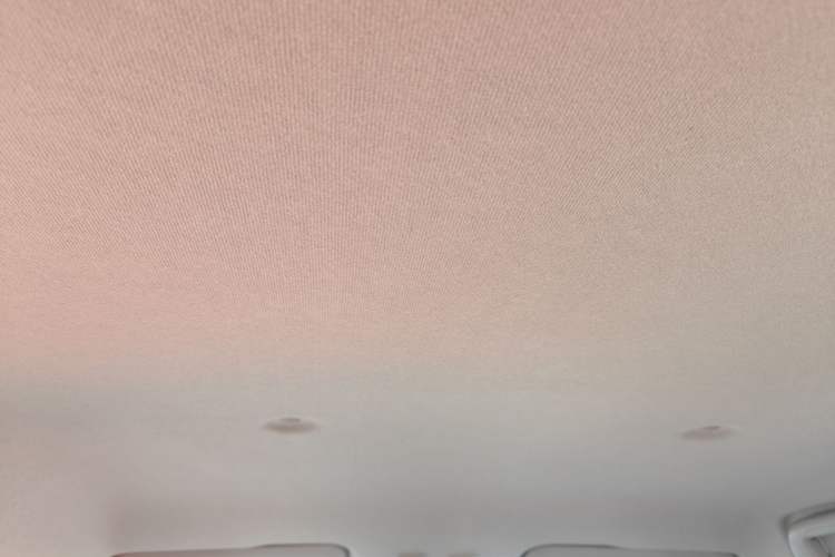 Used ORA White Cat 2020 305 km Luxury Version
