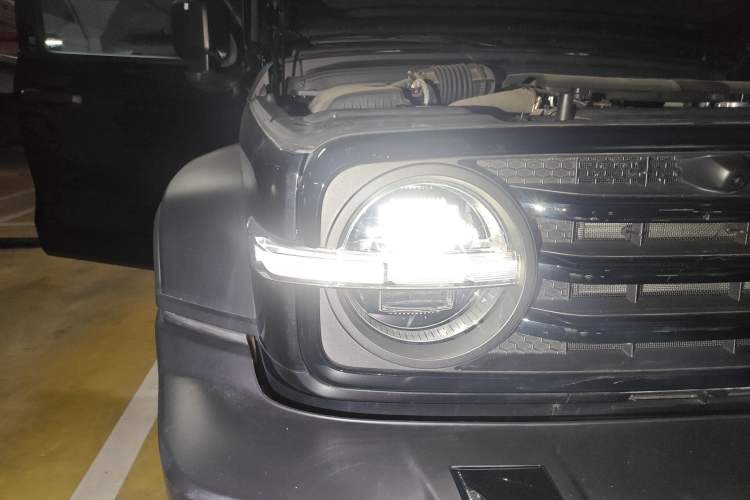 Used Tank 300 2025 2.4T Diesel Version