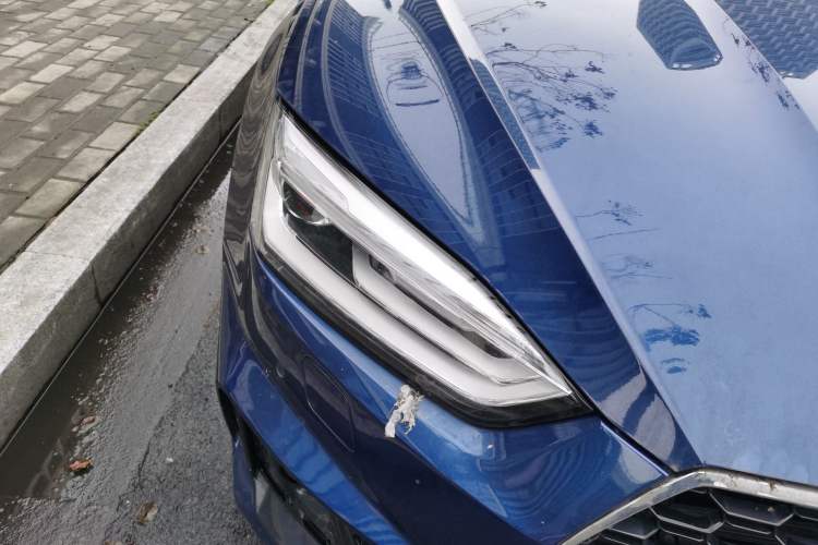 Used Audi A5 2017 Coupe 40 TFSI Fashion Model
