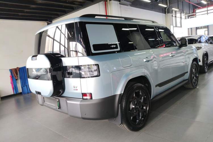 Used Formula Leopard Tai 7 2025 Model 190 km Four-Wheel Drive Ultra Edition
