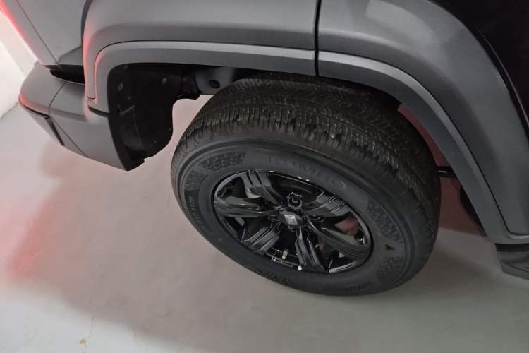 Used Tank 300 2024 2.0T Conqueror