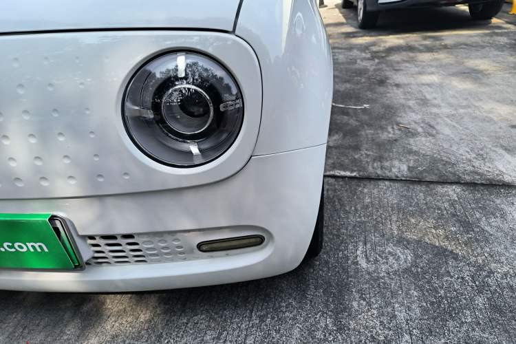 Used ORA Black Cat 2021 301km Cute Pet Edition