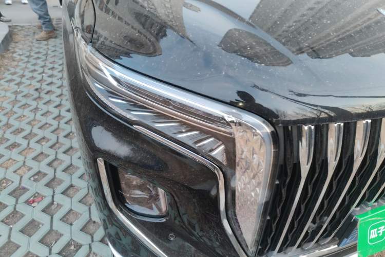 Used Hongqi HQ9 2024 2.0T Business Edition
