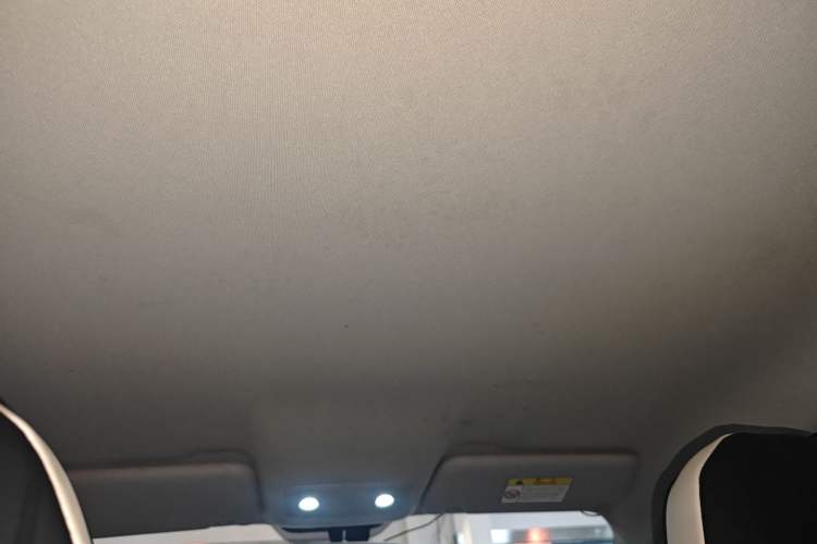 Used Leapmotor T03 2023 310 Lite Edition Headliner