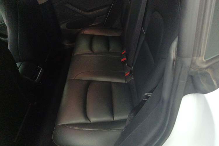 Used Tesla Model 3 2020 Standard Range Rear-Wheel Drive Upgraded Version Left Rear Seat