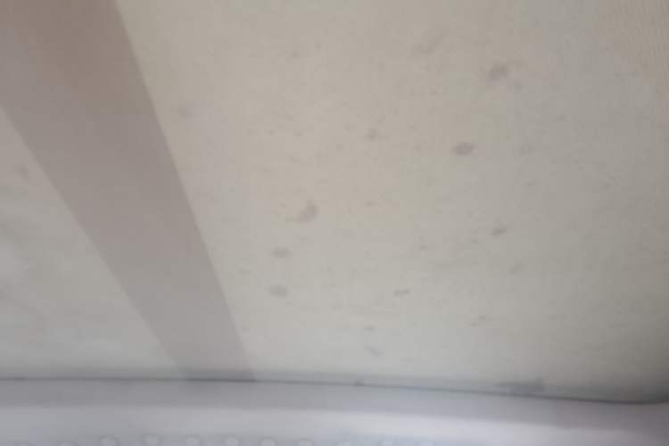 Used BYD Tang New Energy 2015 2.0T Four-Wheel-Drive Flagship Model Headliner