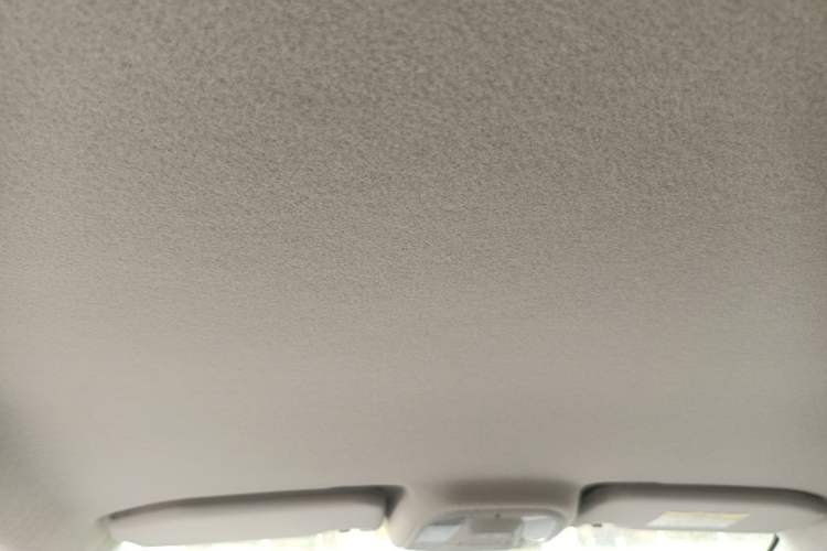 Used BYD Yuan Pro 2023 401KM Luxury Version Headliner