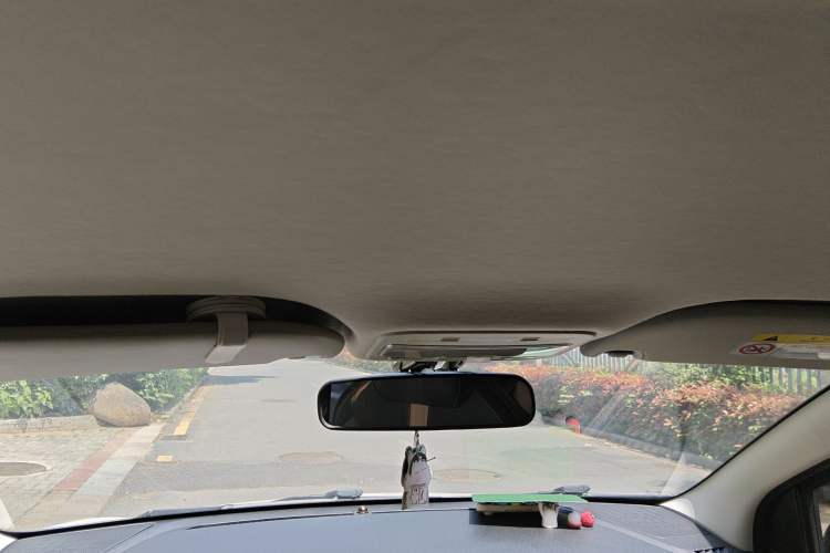 Used SOL E10X 2022 Flower Fairy Design Four-Leaf Clover