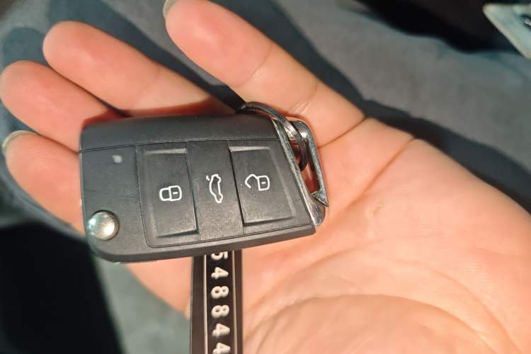 Used Volkswagen T-ROC 2023 300TSI DSG Two-Wheel-Drive Chen Guang Edition