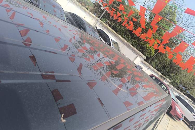 Used Hongqi HQ9 PHEV 2024 2.0T Four-Wheel Drive Business Edition Roof