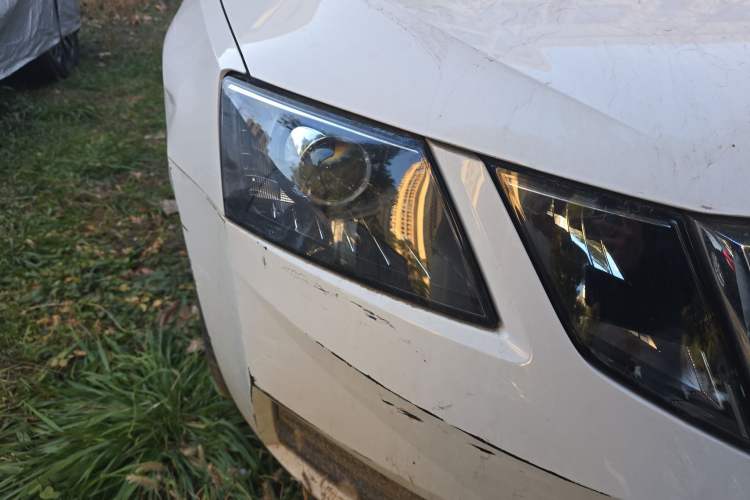 Used Skoda Octavia 2019 1.5L Automatic SmartDrive Comfort Edition China V Standard