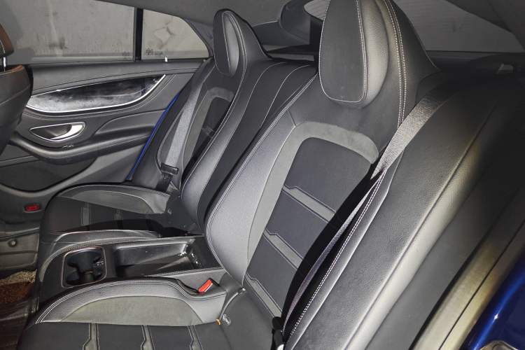 Used Mercedes-Benz AMG GT 2019 AMG GT 50 four-door sports car Left Rear Seat