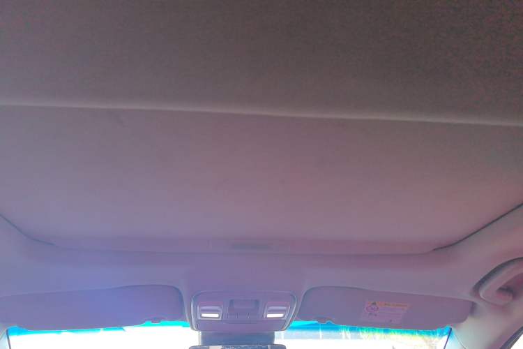 Used Geely Auto Emgrand GS 2019 1.4T Manual Ya Headliner