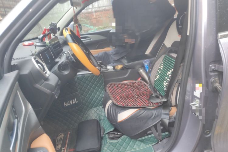 Used Haval H5 2023 2.0T Automatic Two-Wheel Drive LinkedIn Gasoline
