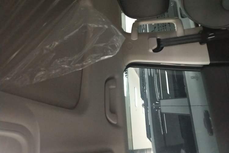 Used Tank 300 2023 2.0T Iron Rider 02