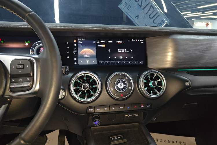 Used Tank 300 2024 2.0T Crosser