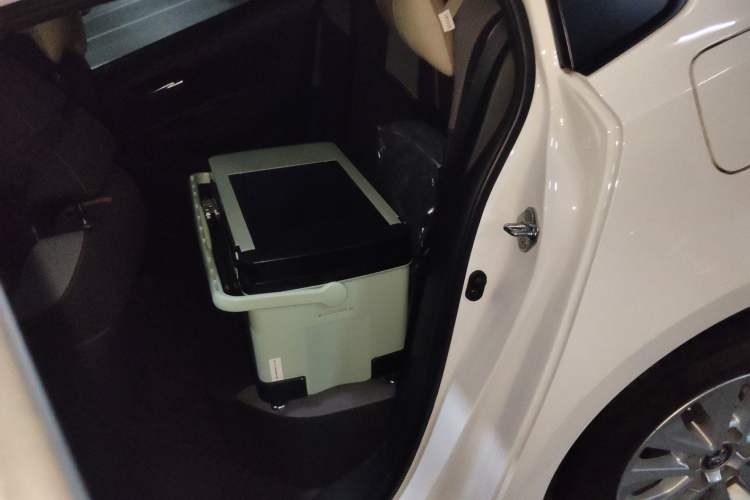 Used Toyota Corolla 2021 1.2T S-CVT Pioneer Edition Left Rear Seat