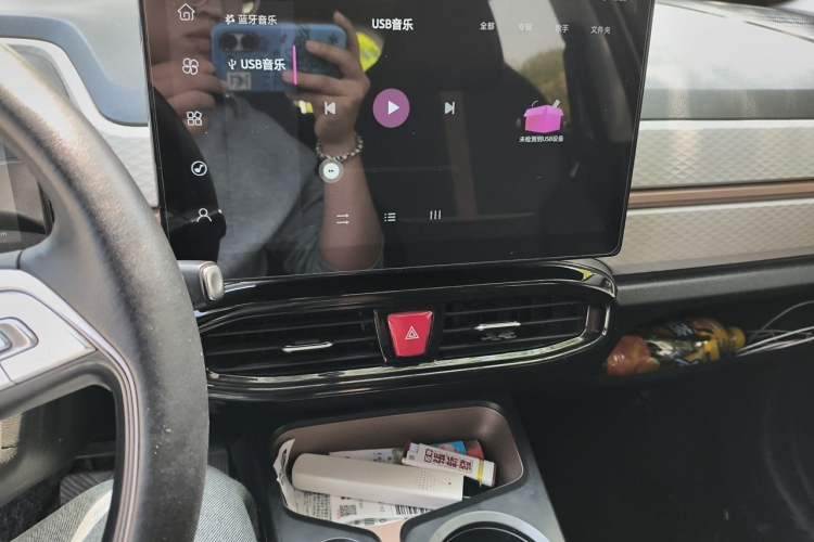 Used SOL E10X 2022 Flower Fairy Design Sunflower
