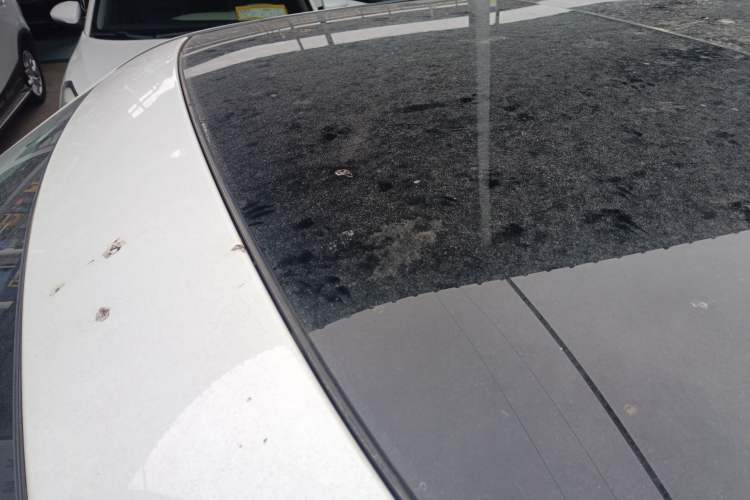 Used Land Rover Freelander 2 2015 2.0T Si4 XS Collection Edition